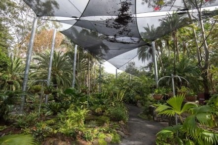 Shade sails installed by Versatile Structures in the Noosa Botanical Gardens